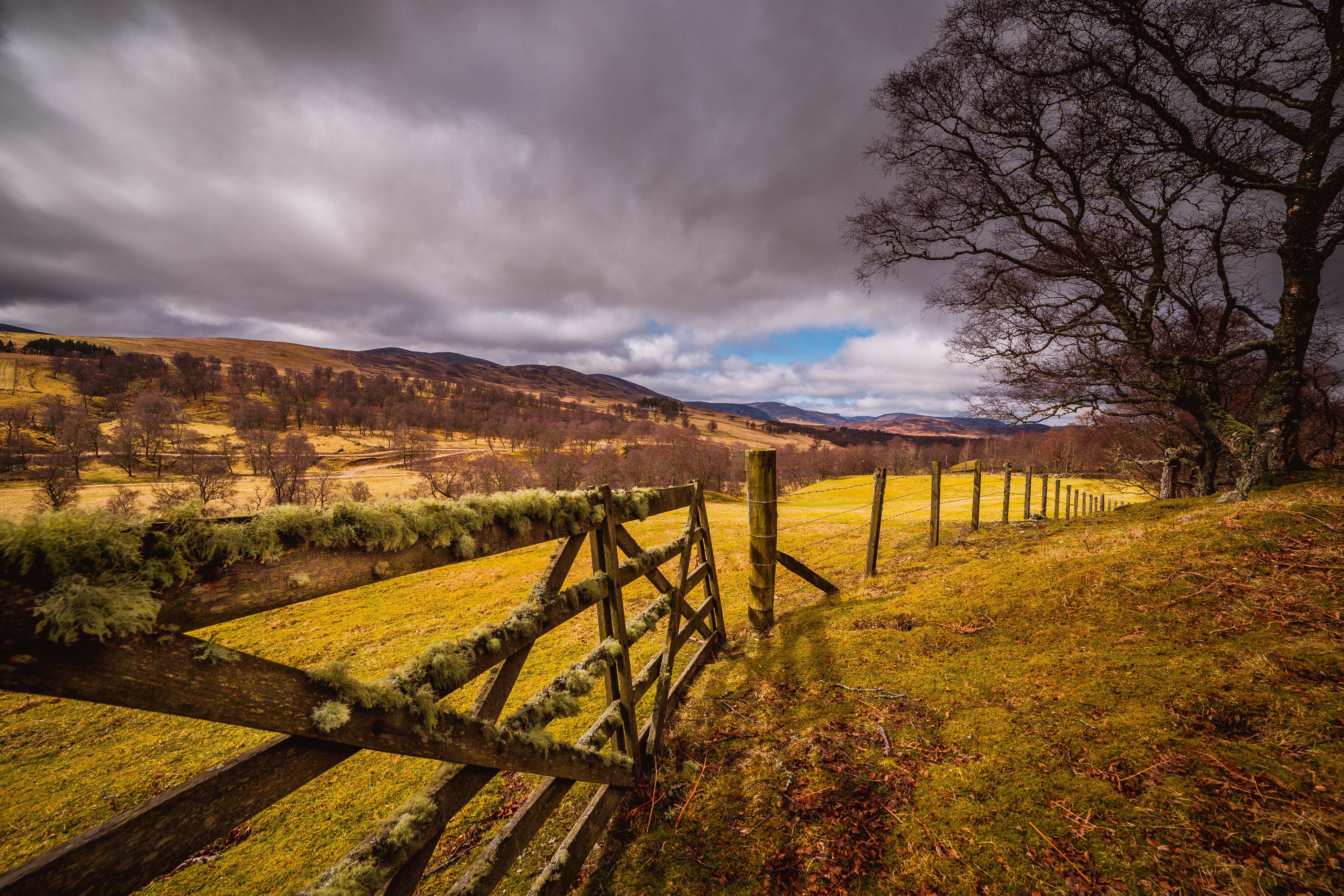 Glen Esk L70