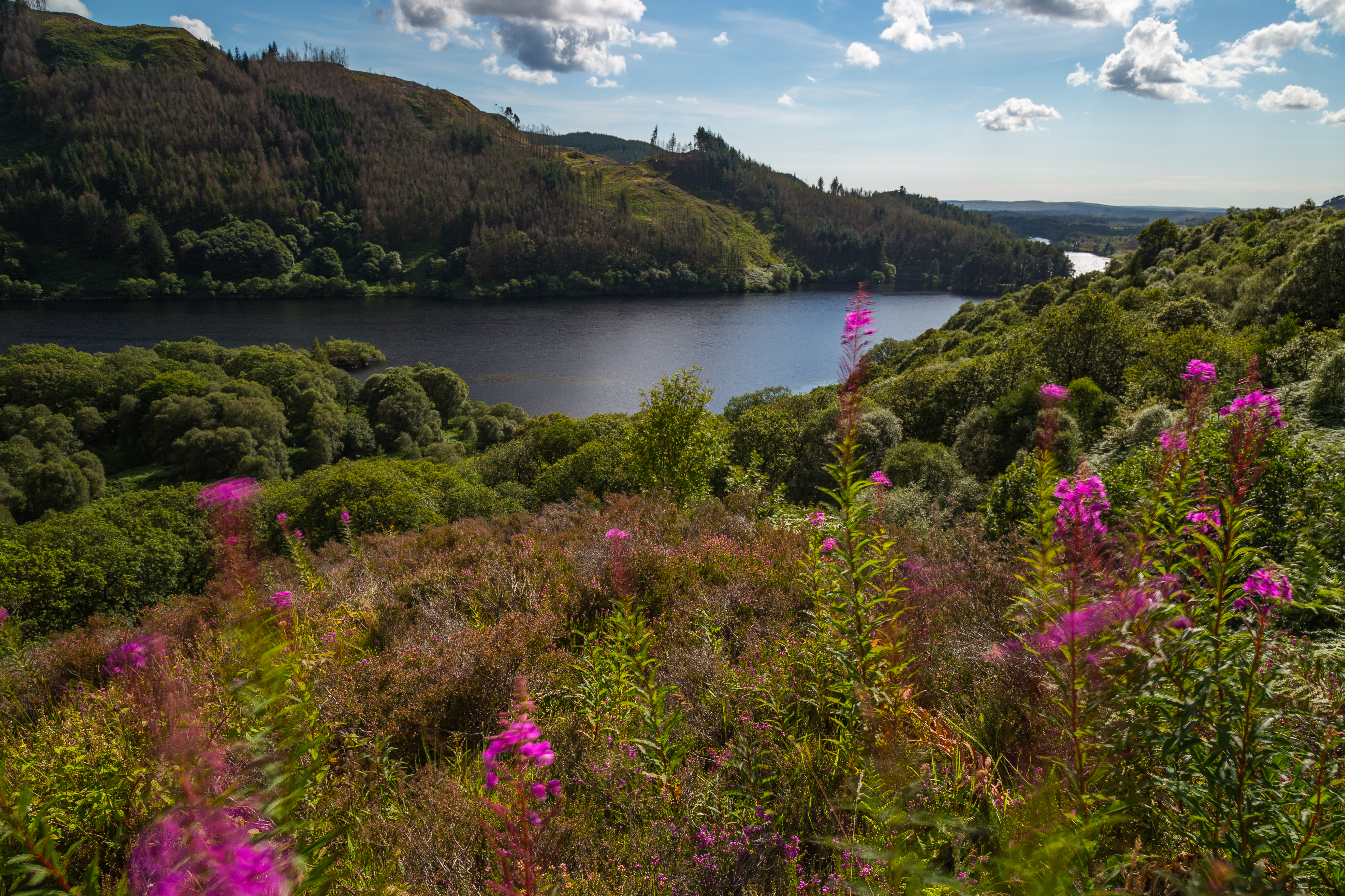 Loch Trool L135