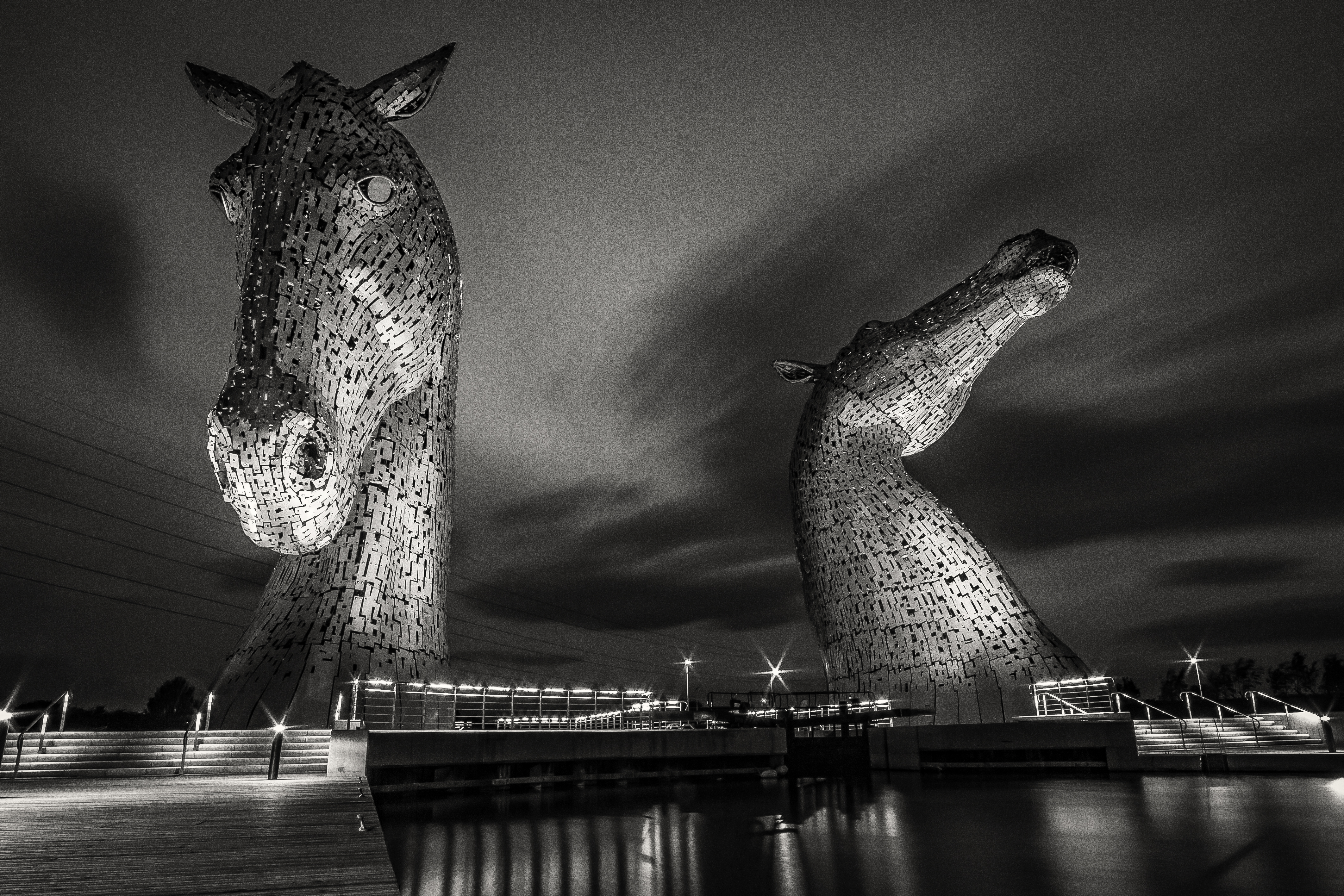 Black and White Kelpies