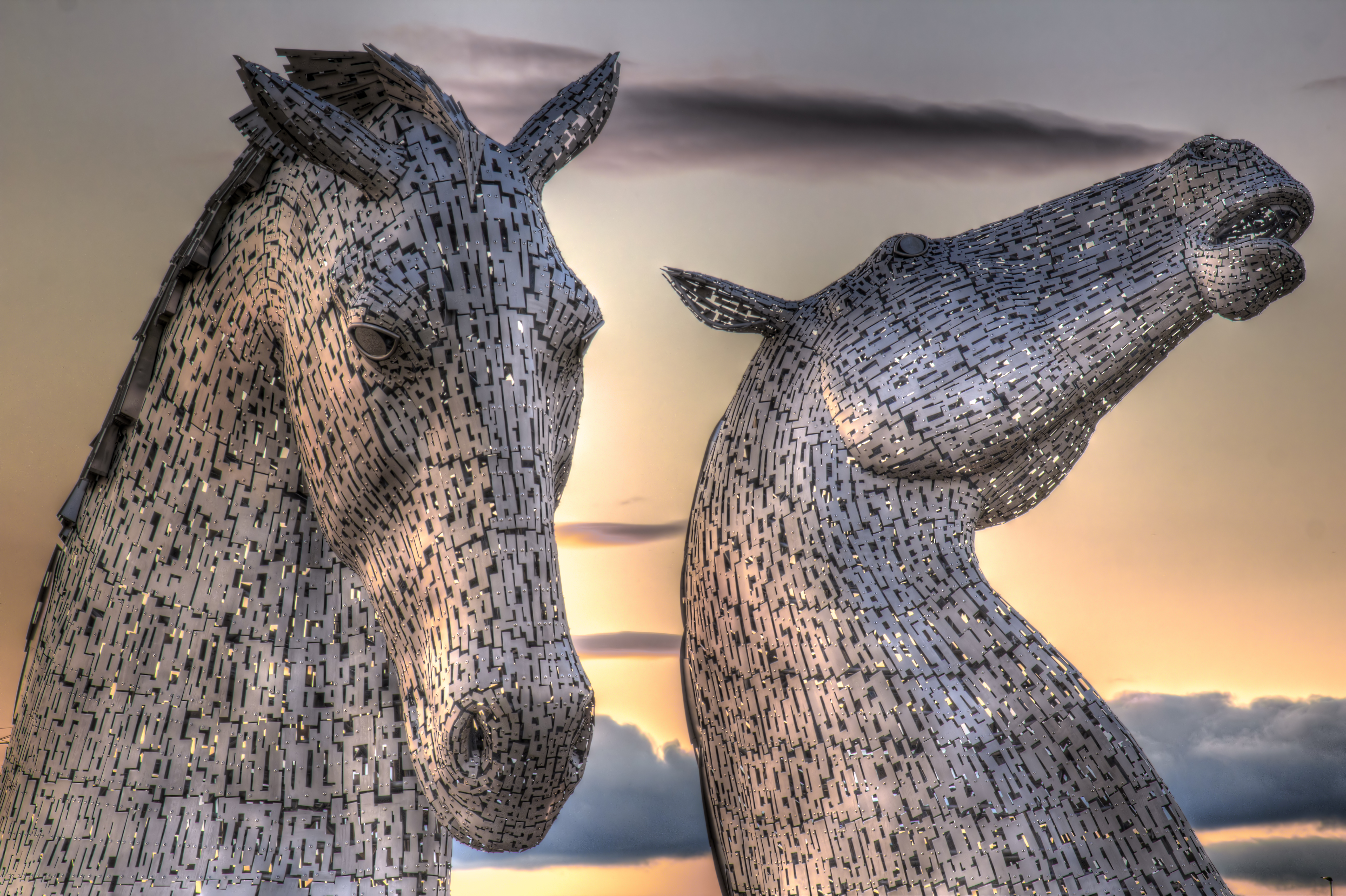 Silver Kelpies K9