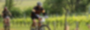 Tours guidés à vélo - Mountain bike tours - Burgundy Bike tours
