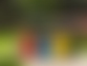 Müllentsorgung und Abfalltrennung in der WEG 2026 – Regeln, Kosten und Konfliktvermeidung