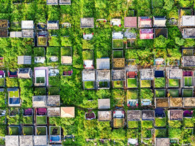 Dachbegrünung für WEG-Gebäude 2026 – Vorteile, Förderung und Umsetzung