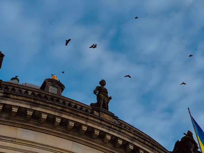 Vögel fliegen vor der verzierten Fassade eines Gebäudes als Sinnbild für Gebäudebrüter und Artenschutz bei der Sanierung