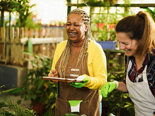 BambooVision: Unveiling Global Market Trends and Economic Opportunities