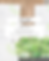 summer specials(1)-07.png