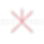 MERIDIANS.png