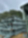 IMG_2518.jpeg
