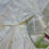 Thumbnail: Moonlit Veils Banarasi Mashru Katan Silk Saree