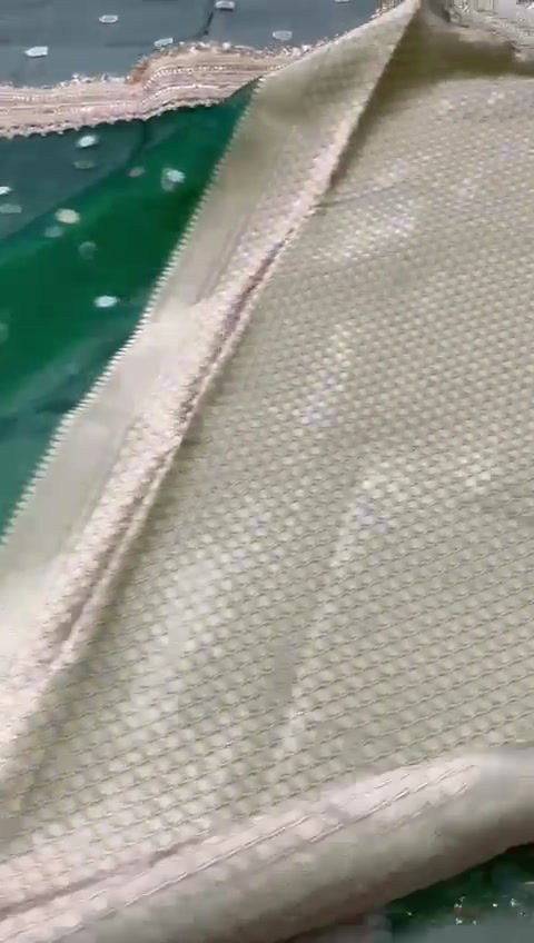 Thumbnail: Sage Serenity Banarasi Tissue Silk Saree with Gota Patti Lace Work