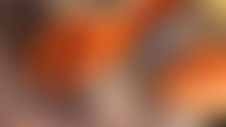 Jamdani Sarees: The Fine Art of Weaving Stories in Threads