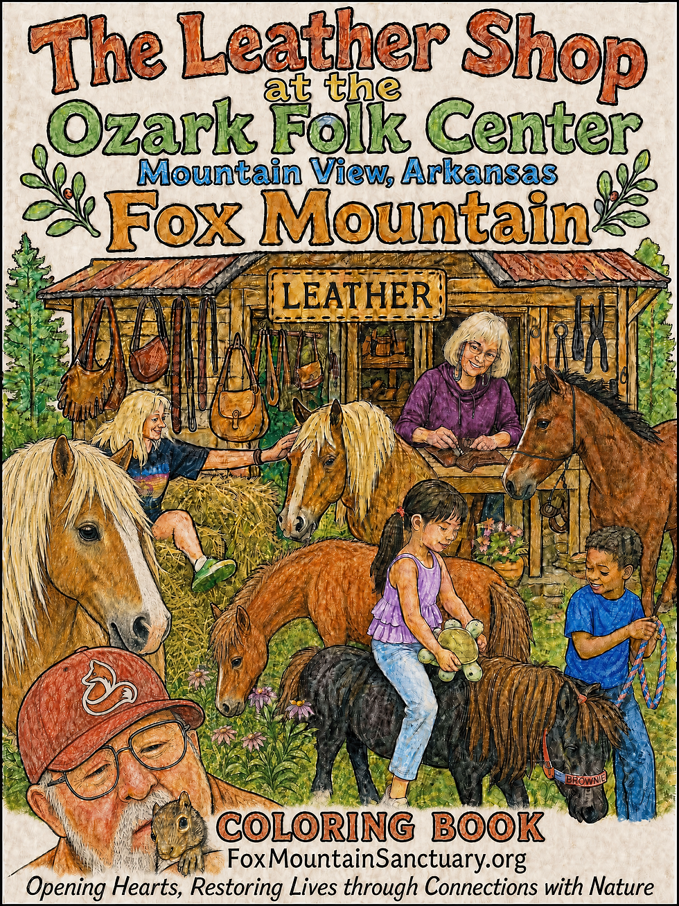 Fox Mountain Coloring Book Cover.png