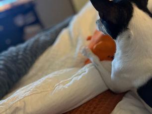 Quieting Your Thoughts For a Better Night’s Sleep