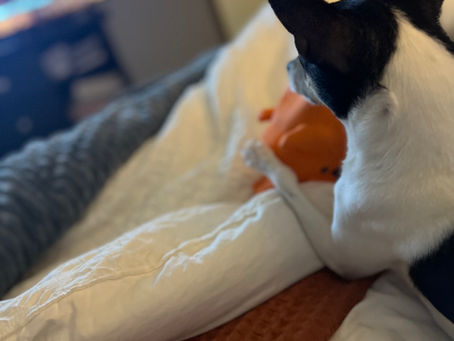Quieting Your Thoughts For a Better Night’s Sleep