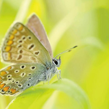 Living Authentically: 5 Things I've Learned Along The Way
