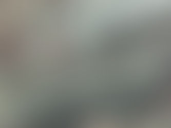 VOM HOF HONRAIN BIS HORN