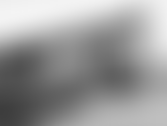 ZWEI FAMILIENCLANS WEBER 