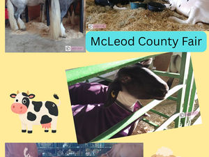 See you at the Fair!