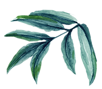 Leaf%20%20%20%20%20%20%20%20%20%20_edite