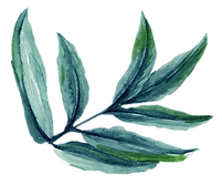 Leaf%252520%252520%252520%252520%252520%