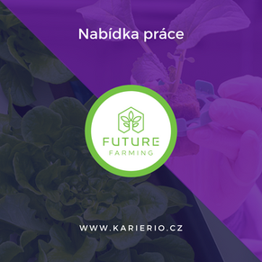 Nabídka práce pro.png