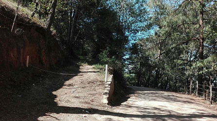 Dos caminos