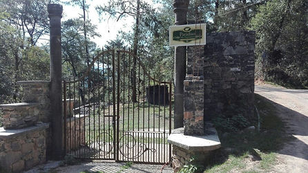 Entrada