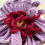 Miniatura: RED RAVEL FLOWER | MAUVE DALIA