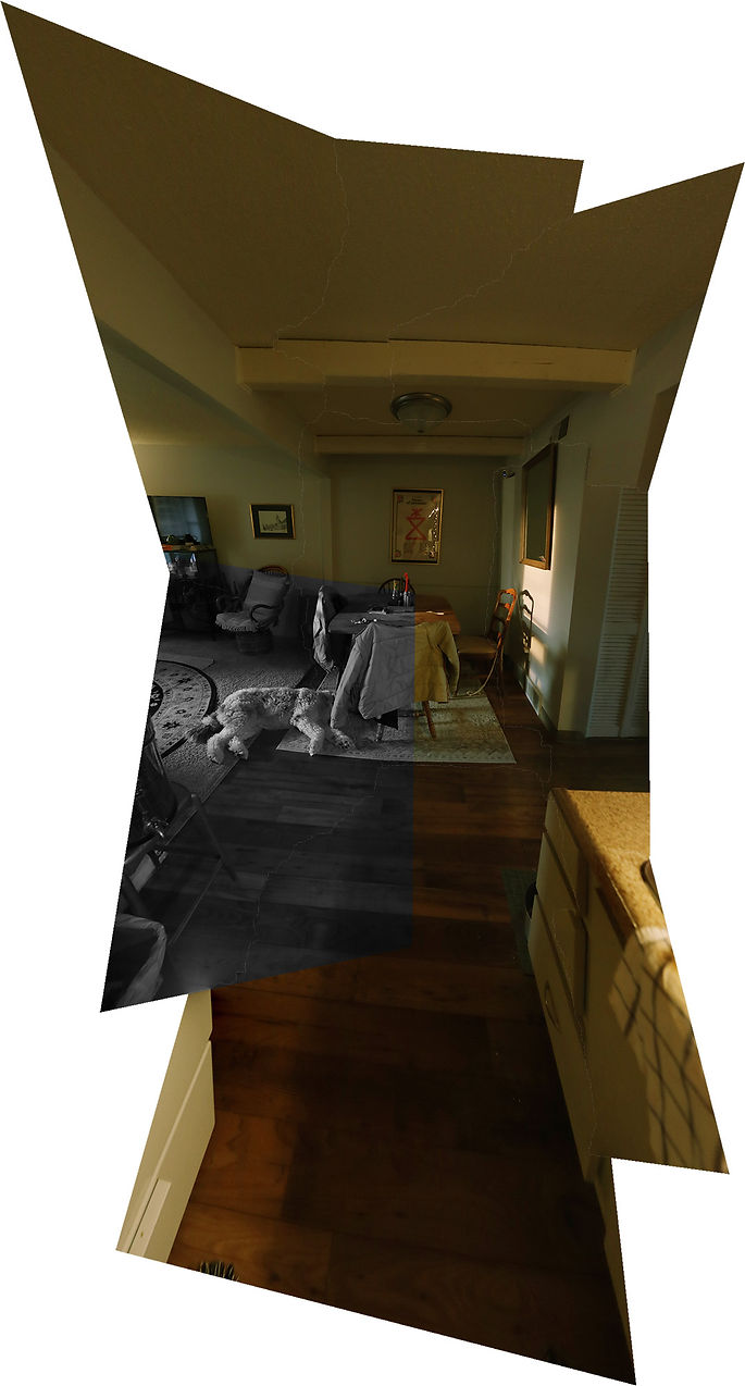 A digital image of a dining room with a dog, in both color and black and white.