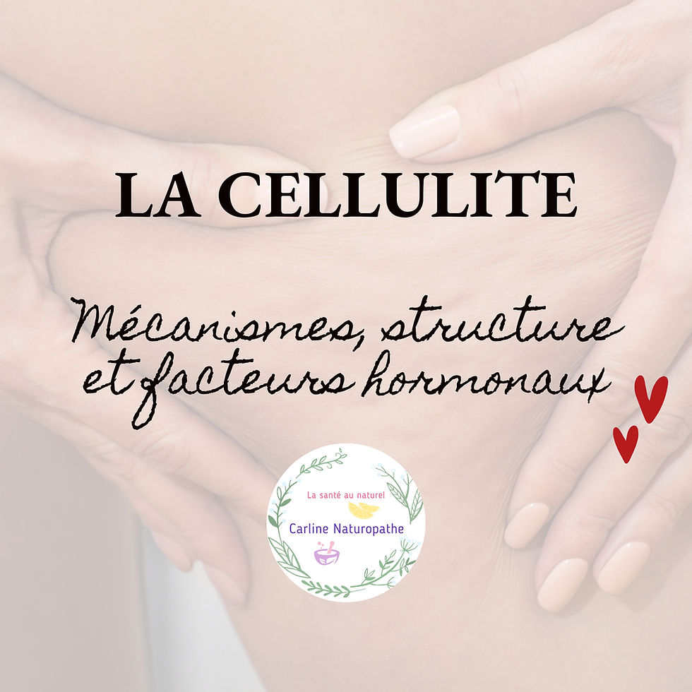 Mais au fait... c'est quoi la cellulite ?
