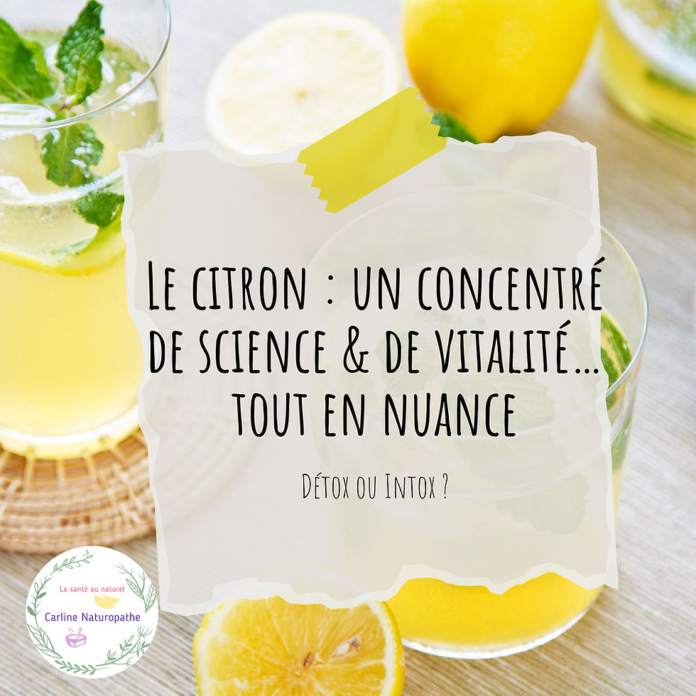 Le citron : un concentré de science, de vitalité… tout en nuance