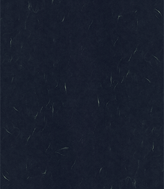 p0527_l_2s.png
