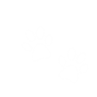 Cottonpoo paws