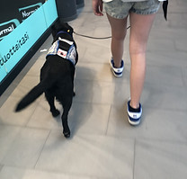 koulutus kohtaan vierellä kulkeminen.jpg