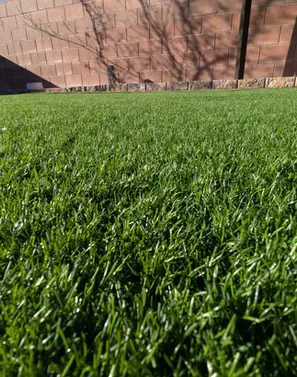 close up of clean artificial turf blades after cleaning