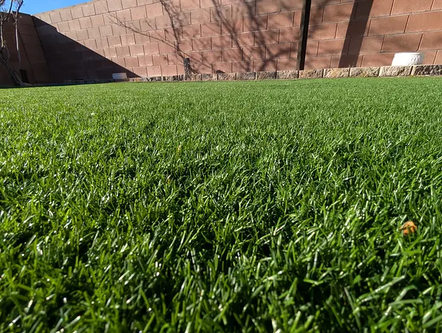 OP.Turf_CloseUp.webp