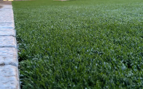 foam cleaning solution on artificial turf during treatment process