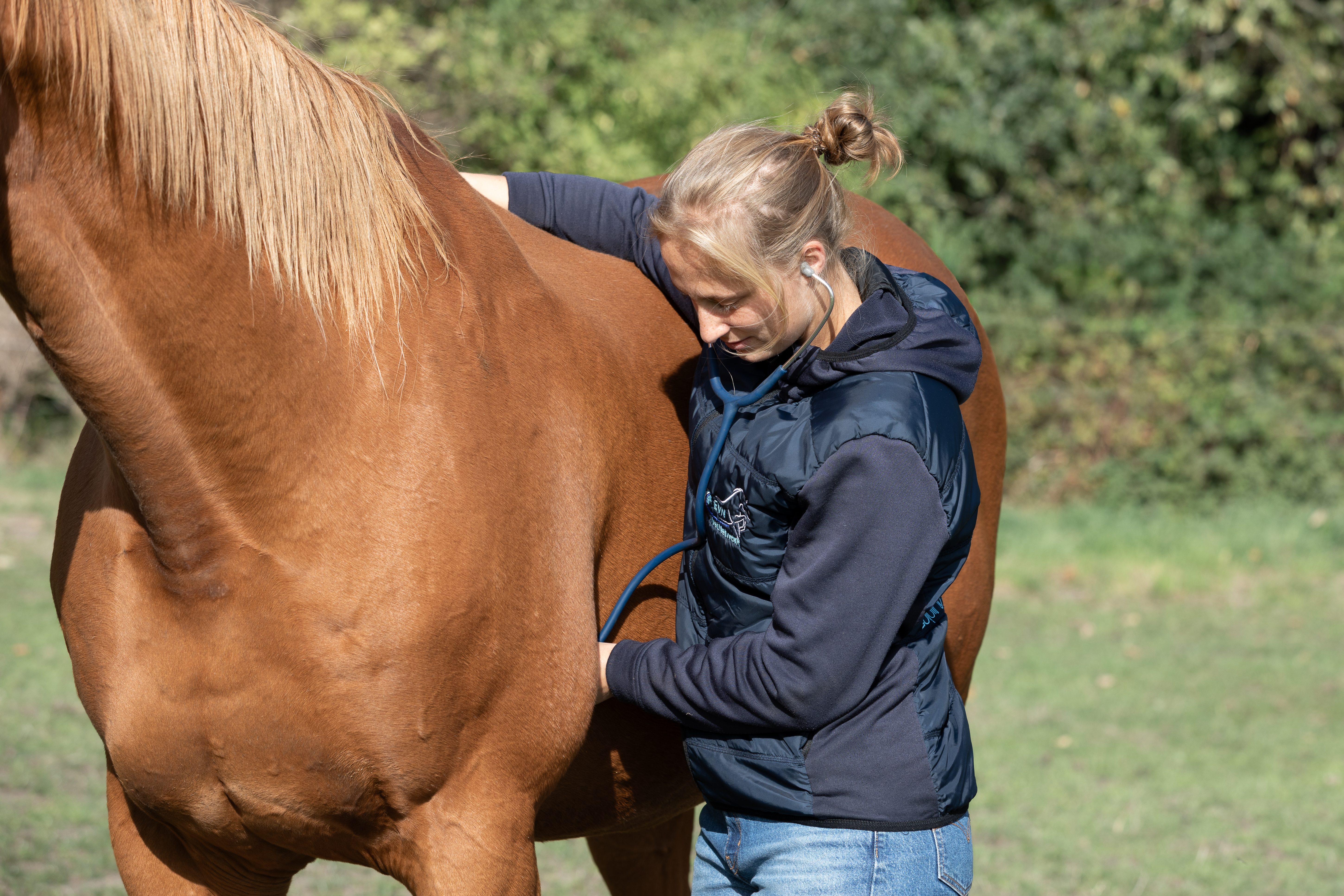 Dierenarts Eileen Geerinckx luistert naar de hartslag van een paard met stethoscoop – Equi Vet Network