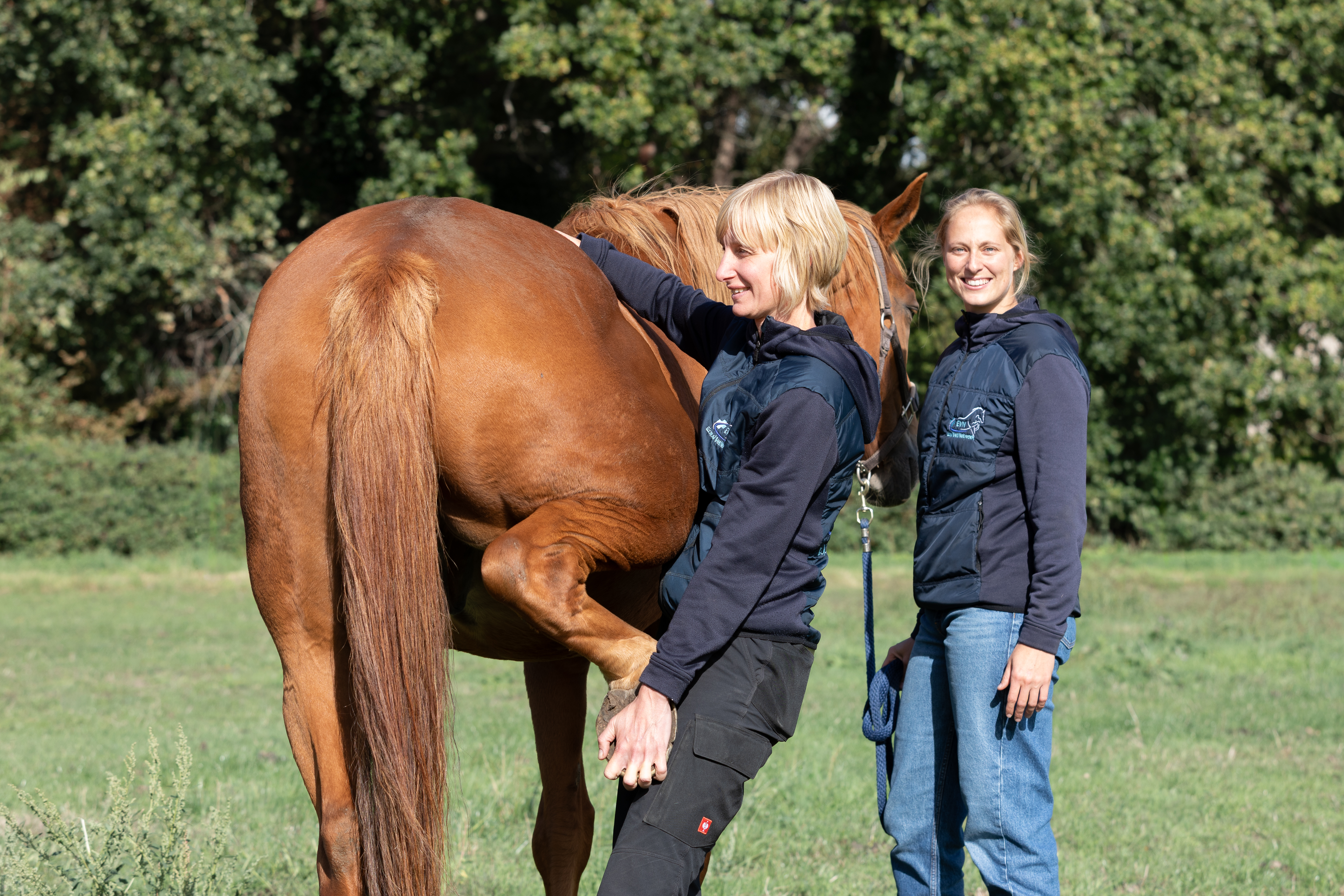 Eileen Geerinckx en Kelly Deneut tijdens klinische keuring bij paard – Equi Vet Network Laarne