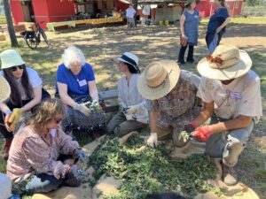 BDANC June 2024 making "preparations"