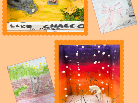 Grade 4: Human Beings and the Animal Kingdom