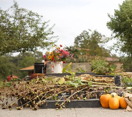 BDANC at Summerfield Waldorf Biodynamic® Farm