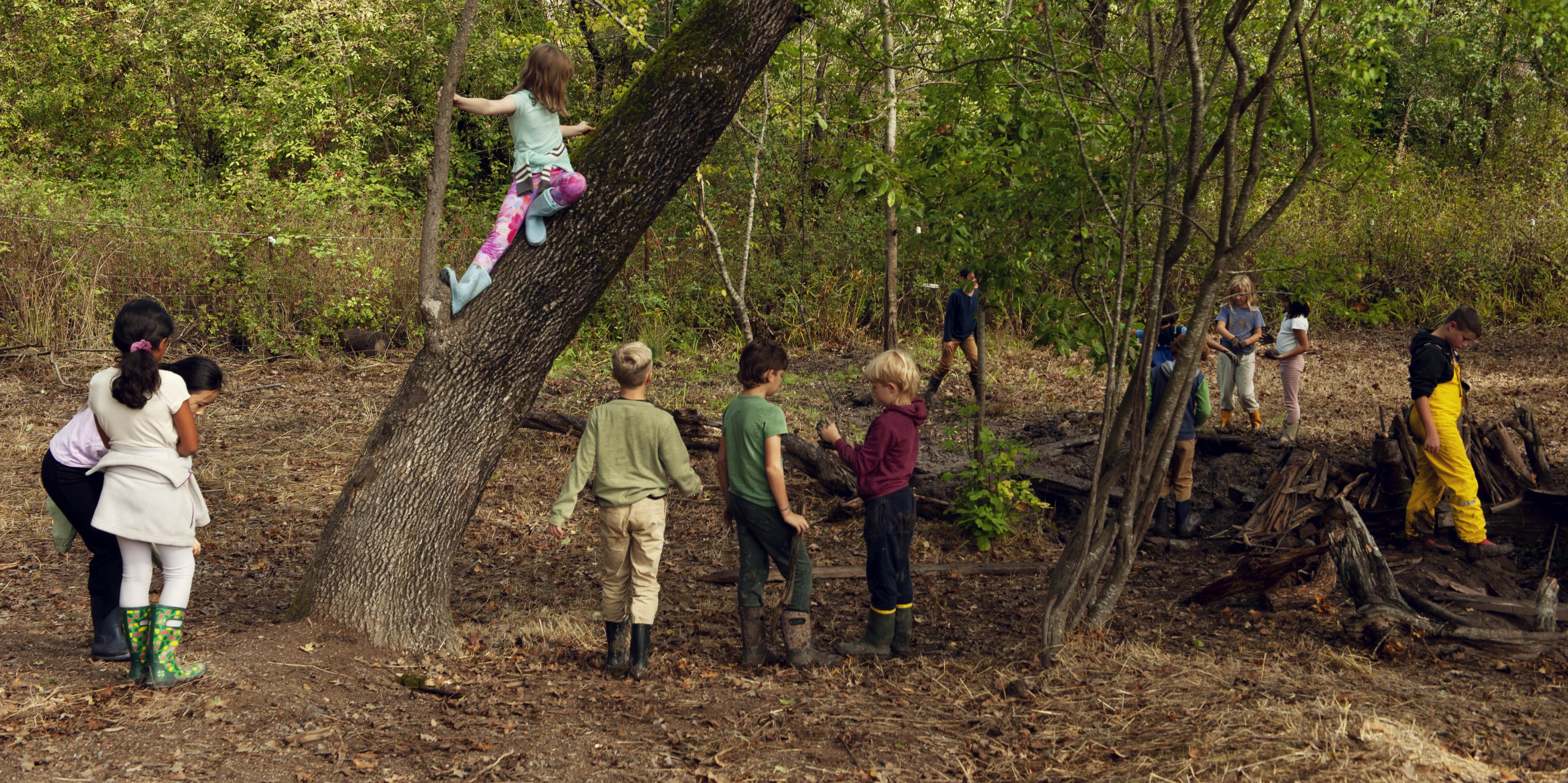 Summer Camps at Summerfield Waldorf School & Farm