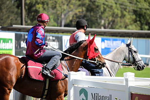 OTL Wyong NHodgson 2.jpg