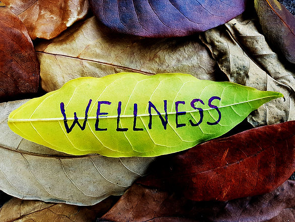 Wellness concept written on leaf.jpg