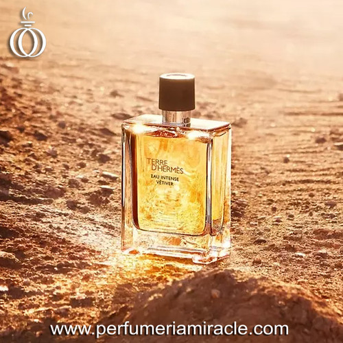 Hermés Terre Eau Intense Vetiver EDP 100ml | Perfumería Miracle