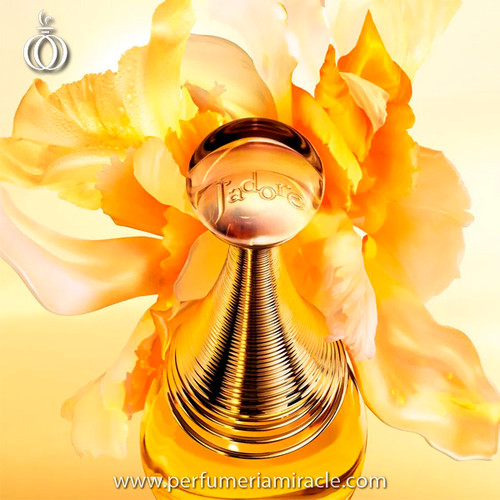 Christian Dior J'adore EDP 100ml | Perfumería Miracle