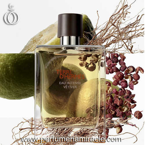 Hermés Terre Eau Intense Vetiver EDP 100ml | Perfumería Miracle