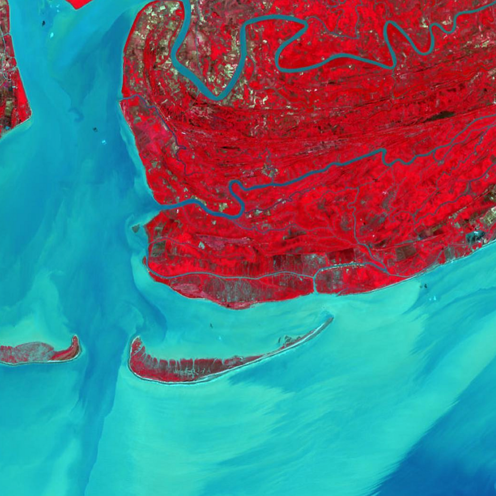 Click on the image to listen.