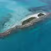 MSC Foundation Completes Further Phase of Coral Restoration in Bahamas